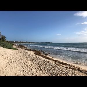 Meet your Posher, Gina